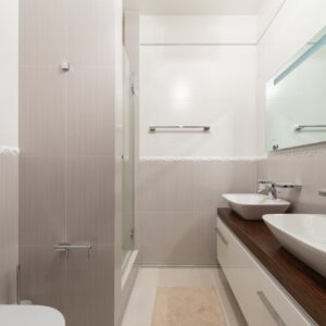 Ultimate Cleaning 2 Bathroom
