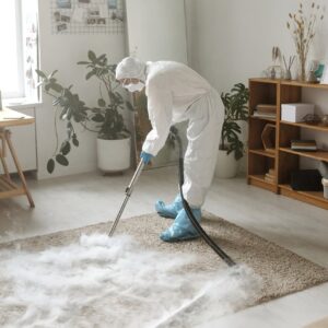 Ultimate Carpet Cleaning Extra Large (150-200 sq ft)