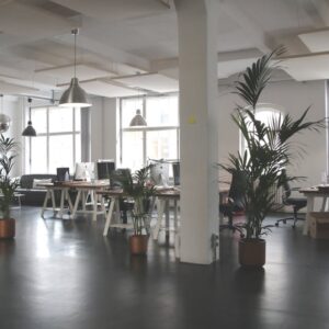 Standard Cleaning Furnished Office (8000-9000 sq ft )